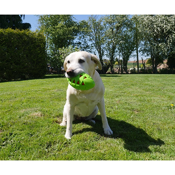 Rosewood Tough toys Crunch Rugby Ball