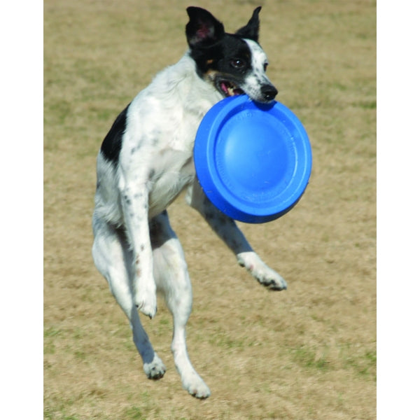 Starmark Disc Asstd 9"