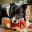 Rosewood Buddy Bear Dog Toy