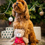 Rosewood Buddy Bear Dog Toy