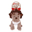 Rosewood Dasher Dino Dog Toy