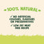 Good Boy Chompers Toothbrush Large, 65g