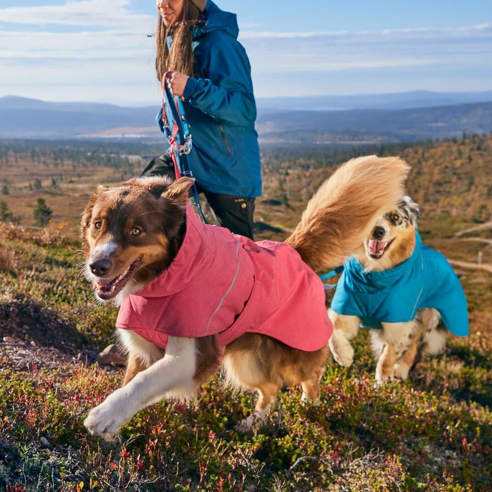 Hurtta Expedition Parka II Strawberry