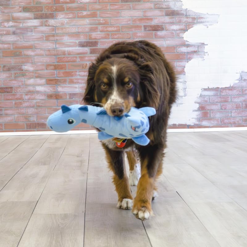 Kong Dynos Roar Blue Medium / Large