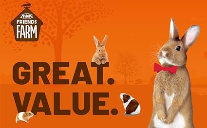 TINY FRIENDS FARM RUSSEL RABBIT  TWIGGIES APPLE & BLACKBERRY 100g