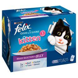Felix As Good As It Looks Kitten Mixed Selection in Jelly 12 Pack 100g - Ormskirk Pets