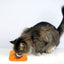 M-PETS Lecca Mat Orange For Dogs And Cats