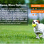 Skipdawg Breezy Ball 2pk