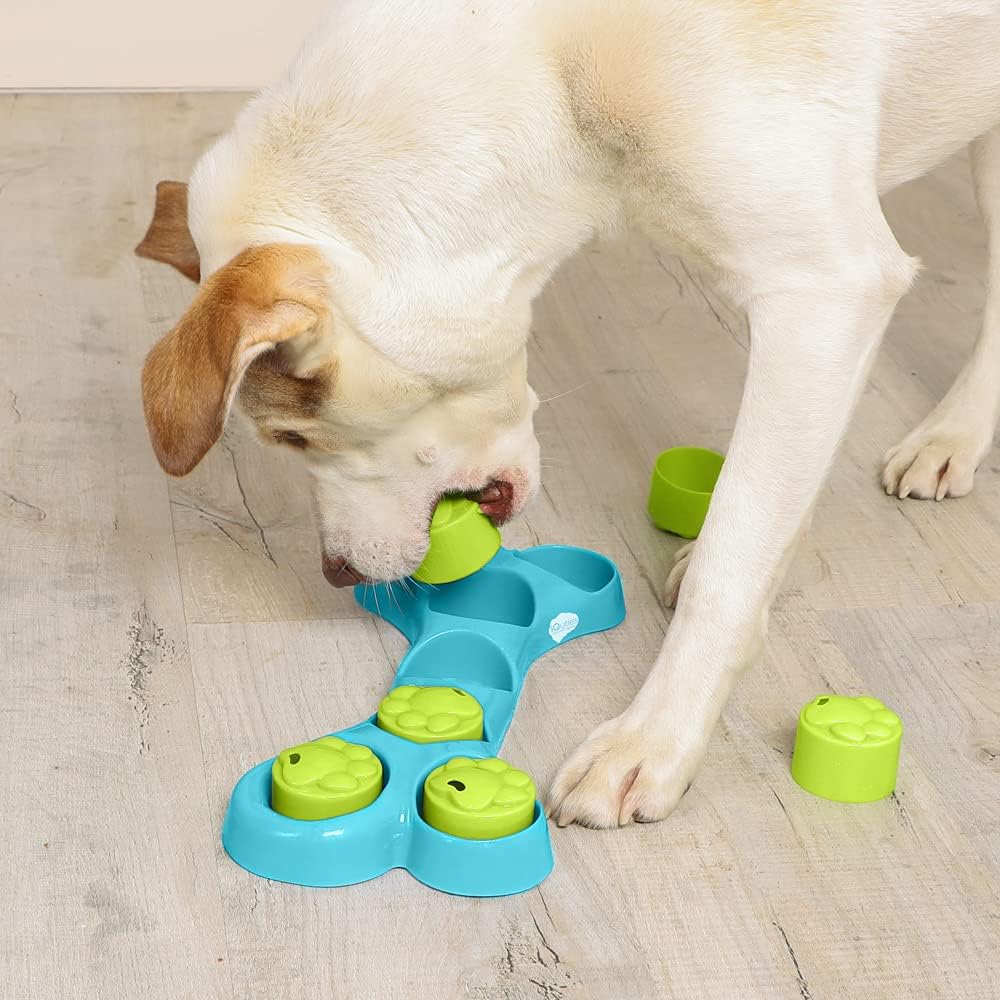 iQuties Active Training Bone Hide