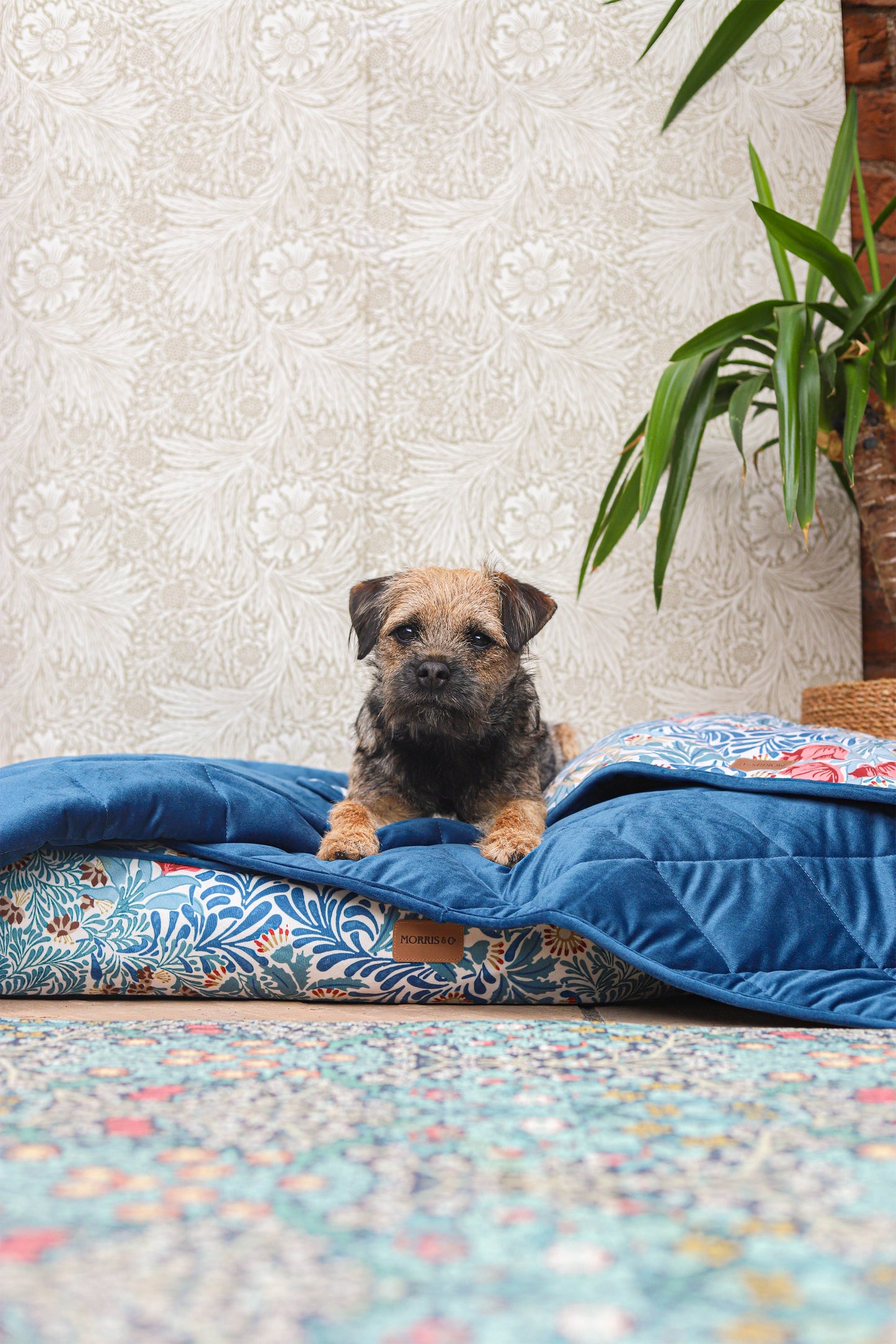 William Morris Pet Blanket Bower Print