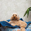 William Morris Pet Blanket Bower Print