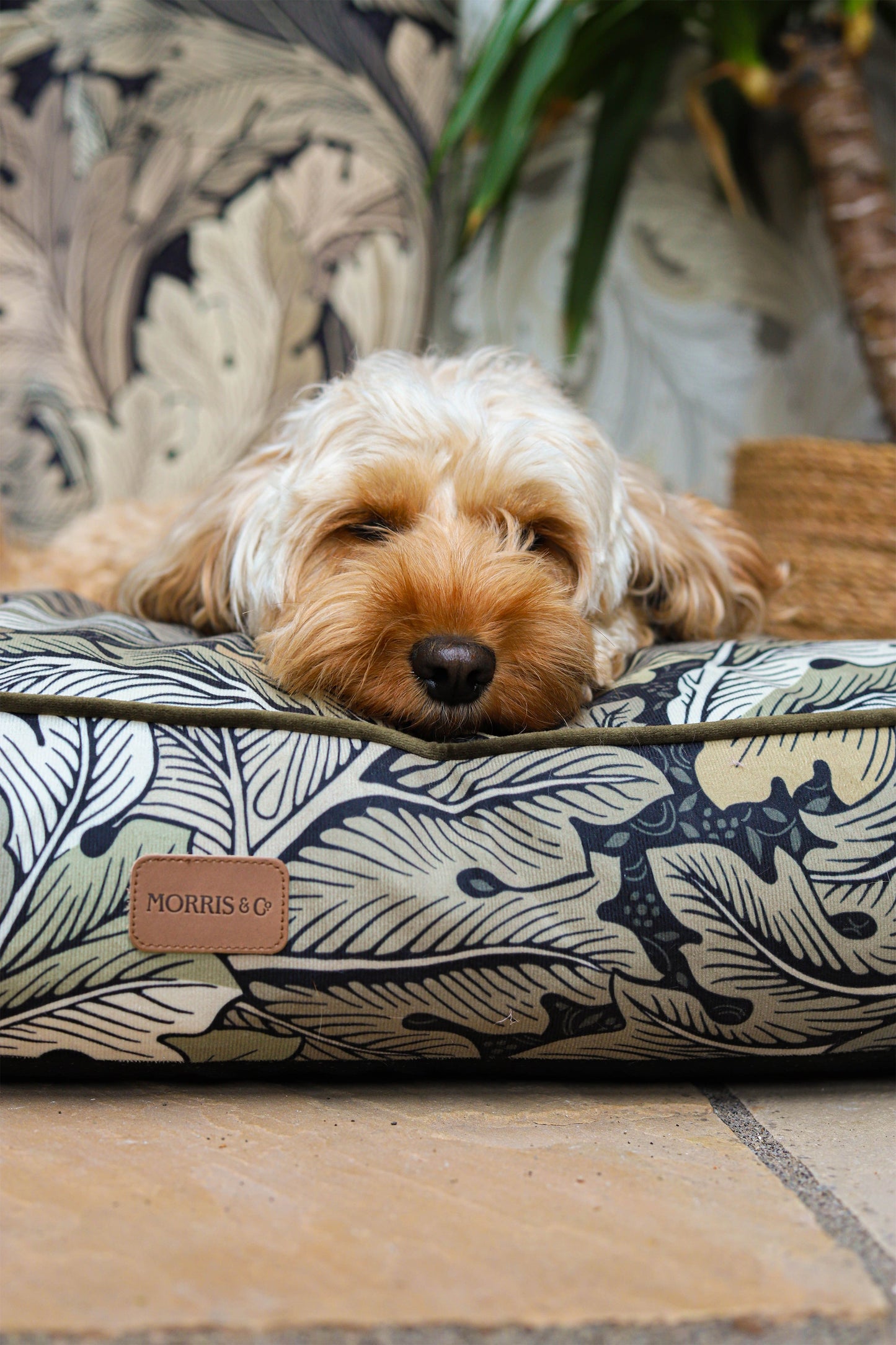 William Morris Square Dog Bed Acanthus Print
