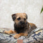 William Morris Square Dog Bed Acanthus Print