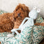 William Morris Willow Bough Frog Dog Toy