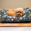 William Morris Golden Lily Print Square Bed
