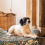William Morris Golden Lily Reclining Mattress