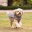 William Morris Acanthus Print Padded Dog Coat