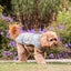 William Morris Acanthus Print Padded Dog Coat