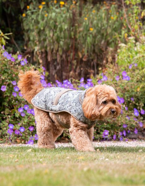 William Morris Acanthus Print Padded Dog Coat