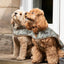 William Morris Acanthus Print Padded Dog Coat