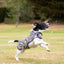 William Morris Strawberry Thief Reversible Dog Coat