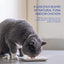 CIAO Bisque Tuna Recipe Cat Wet Pouches 40gx12