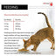 Pro Plan Original Adult Dry Cat Food With Optisenses Salmon 3Kg - Ormskirk Pets