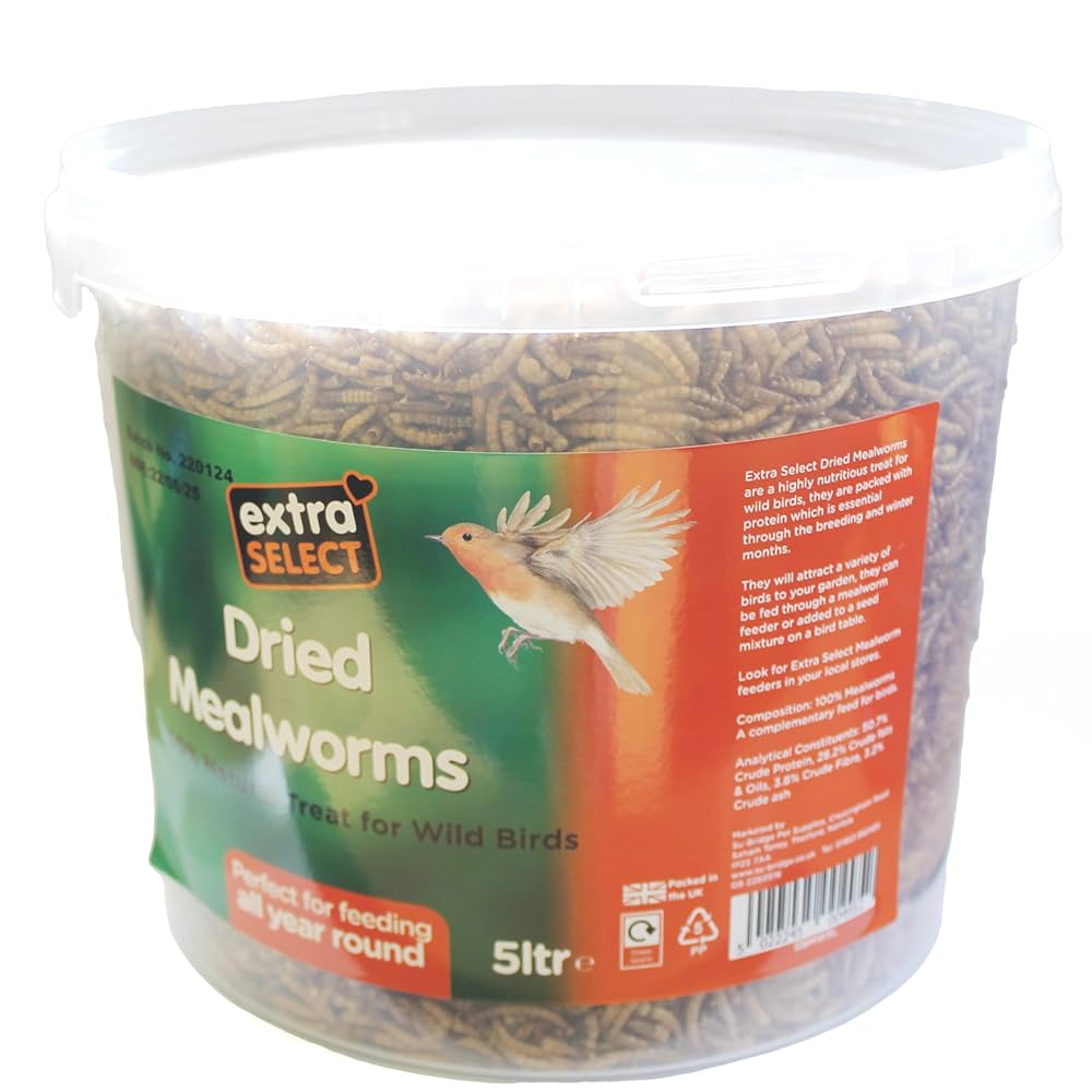 Extra Select Mealworms