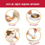 Catit Creamy Treats Salmon & Prawns 4 x 10g