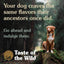 Taste Of The Wild Puppy All Breeds High Prairie Grain Free Dry Dog Food