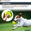 Skipdawg Breezy Ball 2pk