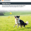 Skipdawg Agility Ball 2pk