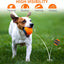 Skipdawg Premium High Bounce Tennis Ball 4pk