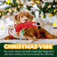 All for Paws Long Body Santa