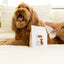 Palmer's For Pets Dog Wipes With Cocoa Butter 100pk