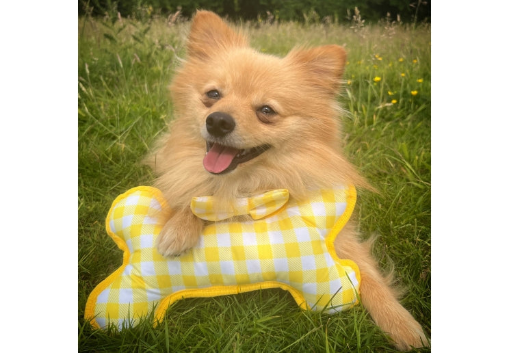 Ancol Sunflower/Yellow Patterned Reversible Bone Toy