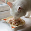 Ancol Cat Shaped Dish