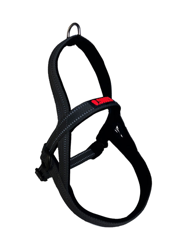 KONG Norwegian Harness Black