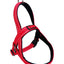 KONG Norwegian Harness Red