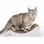 M-PETS Wichita Scratch Board Cat