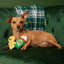 BARK Xmas Ginger Boy Brew Plush 2PK