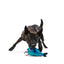 BARK Catfish Claude Dog Toy