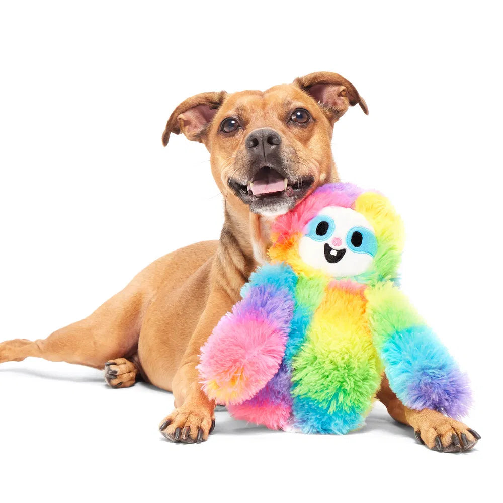 BARK Good Vibes Gary Dog Toy