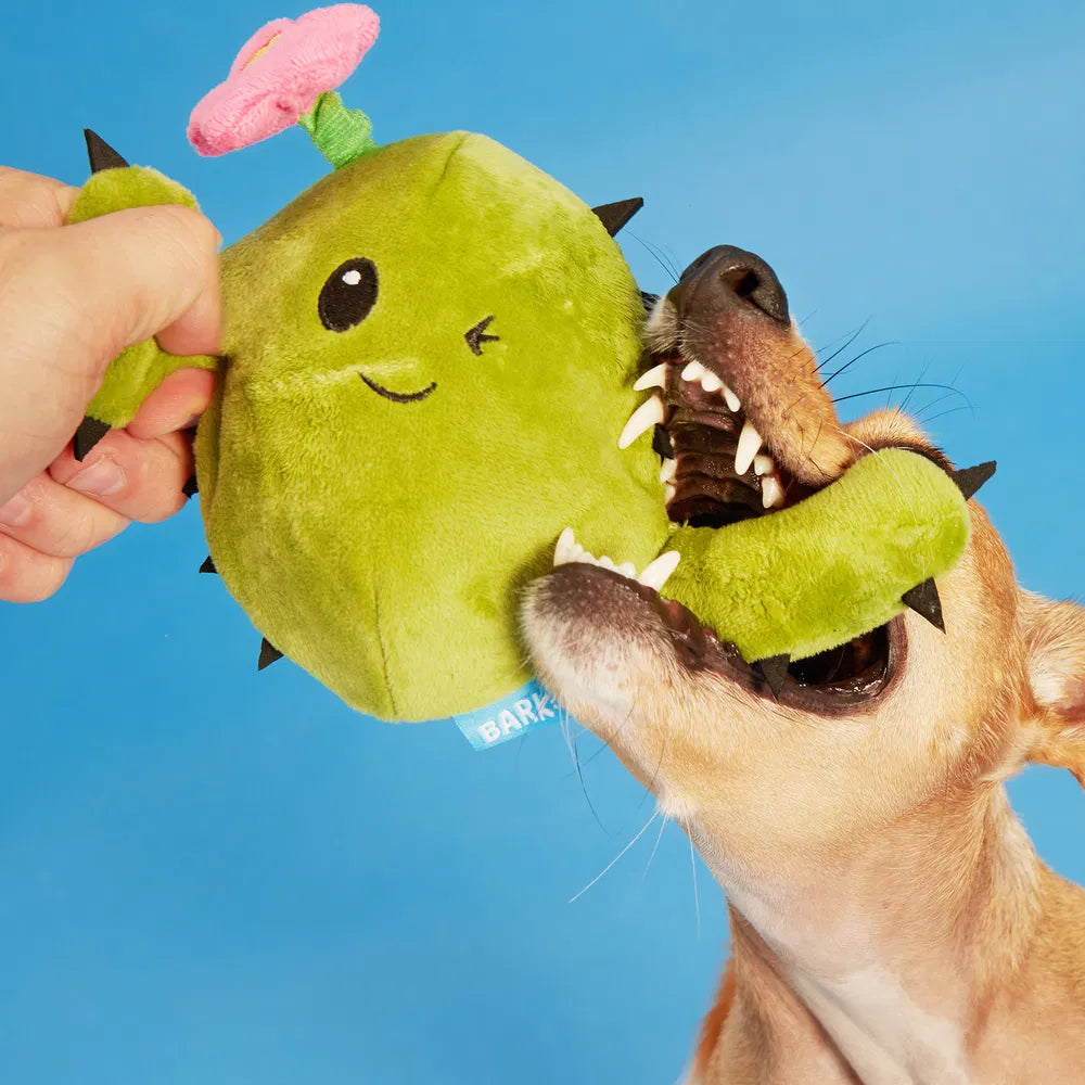 BARK Consuela The Cactus Dog Toy