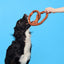 BARK Paulas Park Slope Pretzel Dog Toy