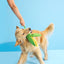 BARK Corn On The Slob Dog Toy