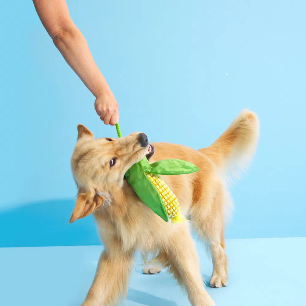 BARK Corn On The Slob Dog Toy
