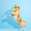 BARK Corn On The Slob Dog Toy