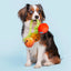 BARK Hairloom Tomatoes Dog Toy