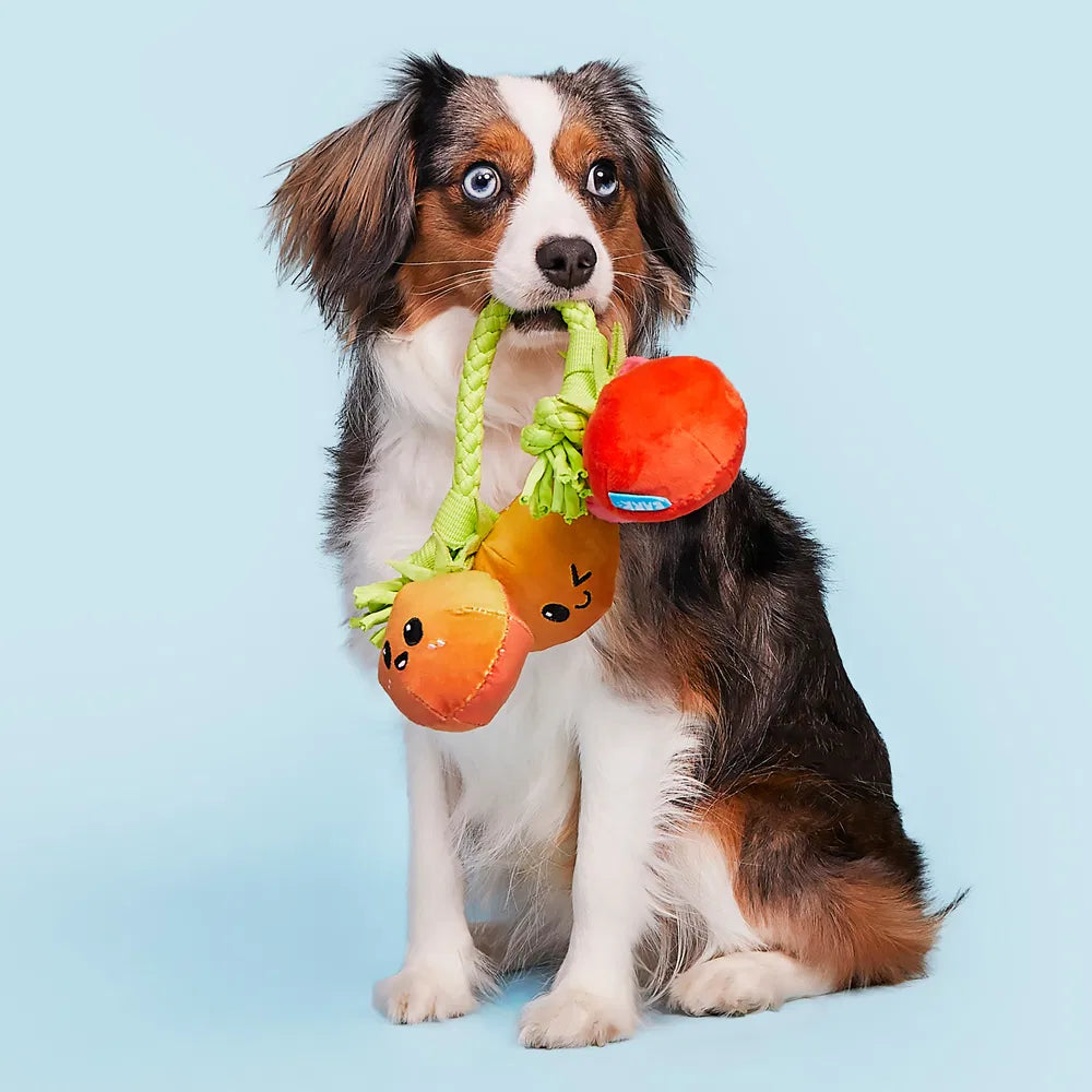 BARK Hairloom Tomatoes Dog Toy